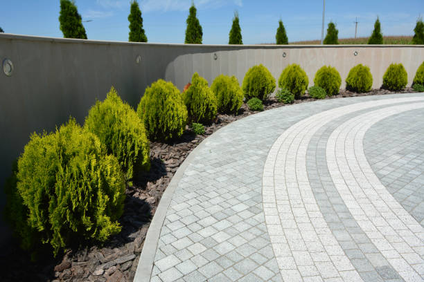 Best Best Driveway Pavers  in Crestwood, MO